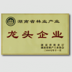 桃花江竹材-湖南省林業(yè)產業(yè)龍頭企業(yè)